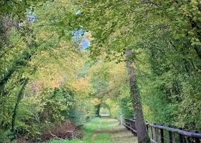 Le Manoir De La Lanterne Et Son - 2 A 9 Pers *